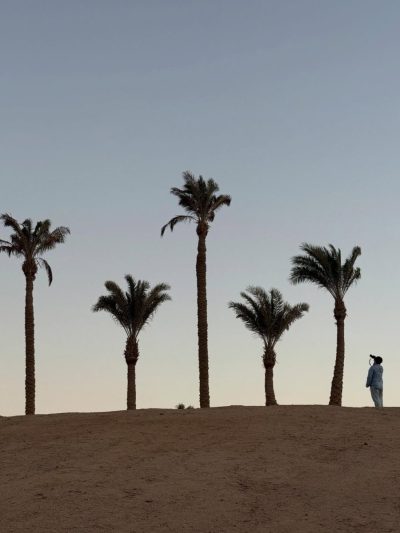 The Oberoi Beach Resort, Sahl Hasheesh — фото погоды в феврале (2026-02-18)