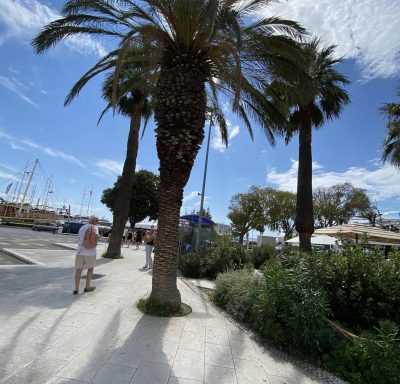 Port of Split в августе — фото погоды (2025-08-22)