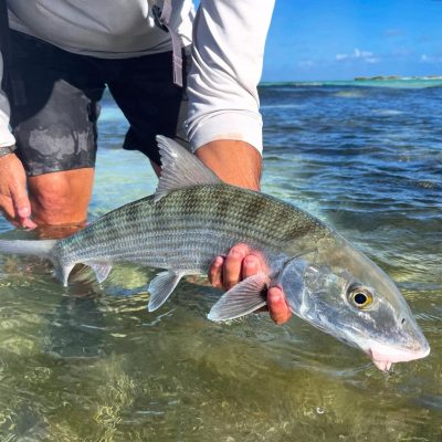 Los Roques National Park в январе — фото погоды (2026-01-30)