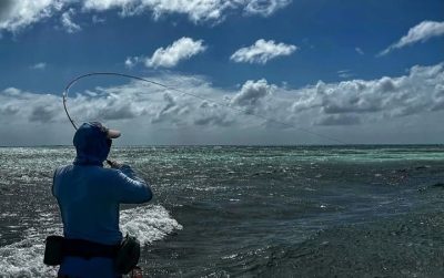 Los Roques National Park в феврале — фото погоды (2026-02-12)