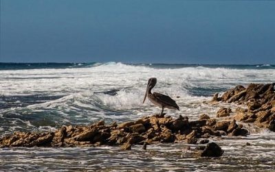Los Roques National Park в феврале — фото погоды (2026-02-12)