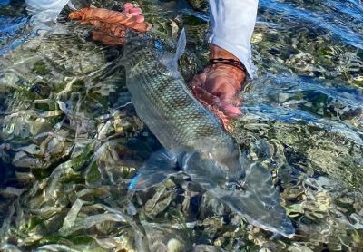 Los Roques National Park в июне — фото погоды (2026-06-12)