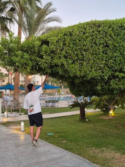 Tropitel naama bay hotel — фото погоды в июле (2025-07-14)