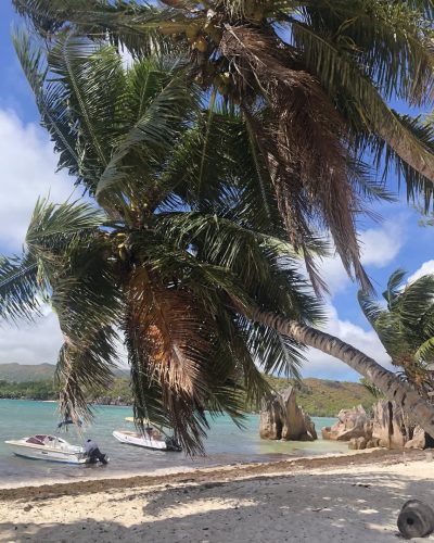 Curieuse Island - Seychelles в августе — фото погоды (2025-08-28)