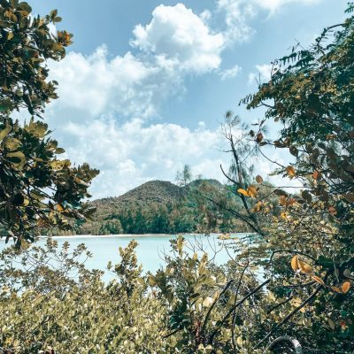 Curieuse Island - Seychelles в январе — фото погоды (2026-01-20)