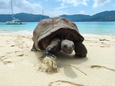 Curieuse Island - Seychelles в феврале — фото погоды (2026-02-16)