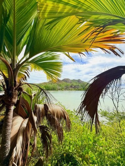 Curieuse Island - Seychelles в марте — фото погоды (2026-03-09)