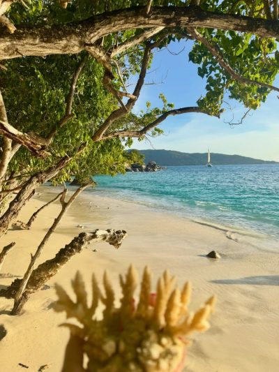 Curieuse Island - Seychelles в мае — фото погоды (2026-05-25)