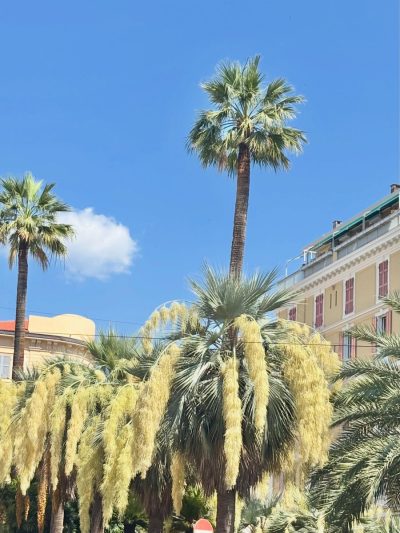 San Remo Centro в июле — фото погоды (2026-07-04)