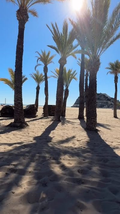 Playa de Poniente. Benidorm (Alicante) в феврале — фото погоды (2026-02-20)