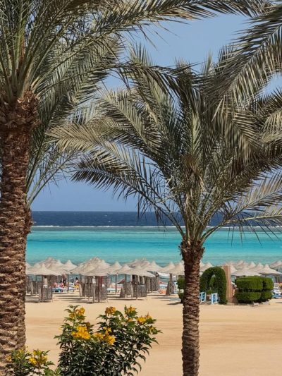 Dream Lagoon Marsa Alam в феврале — фото погоды (2026-02-22)