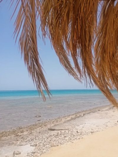 Dream Lagoon Marsa Alam в мае — фото погоды (2026-05-22)