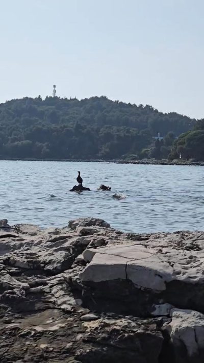 Cuvi Beach в июне — фото погоды (2025-06-06)