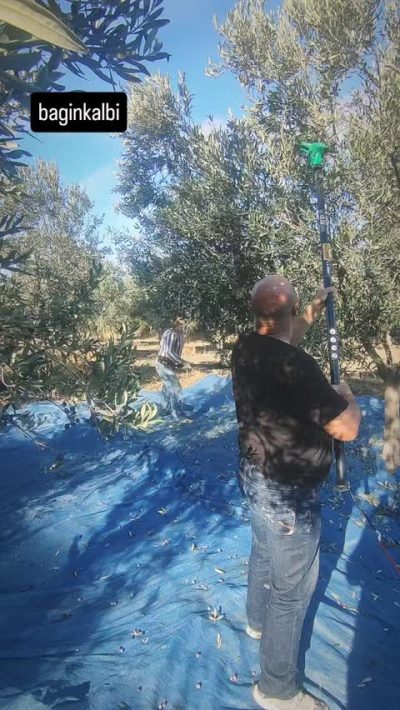 Çeşme, Ovacık Köyü, Azmak Mevkii в октябре — фото погоды (2025-10-10)