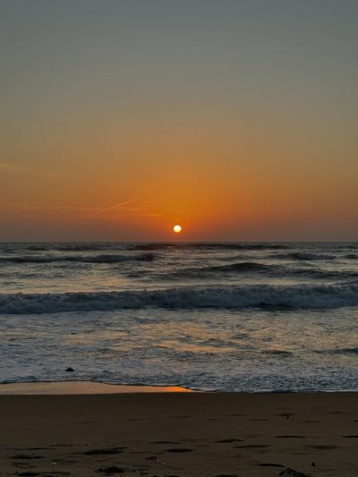 Wadduwa Beach в ноябре — фото погоды (2025-11-22)