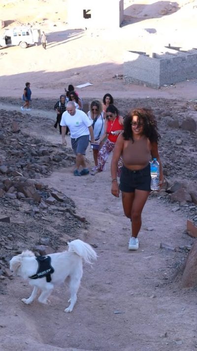 Habiba Beach Lodge Nuweiba в июле — фото погоды (2025-07-24)