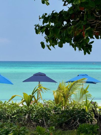 Acajou beach Resort, Praslin Seychelles в ноябре — фото погоды (2025-11-09)