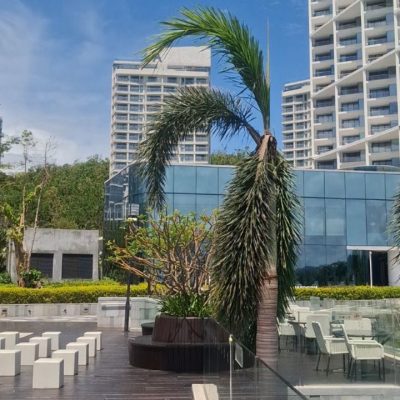 The Shanhaitian Resort Sanya, Autograph Collection — фото погоды в сентябре (2025-09-26)