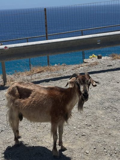 Therma Beach Kos в октябре — фото погоды (2025-10-16)
