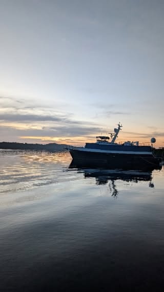 Panama Bocas Del Toro в августе — фото погоды (2025-08-10)