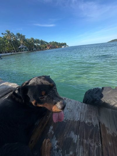 Panama Bocas Del Toro в октябре — фото погоды (2025-10-14)