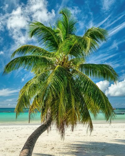 Anse Volbert, Cote d'Or, Praslin Island, Seychelles в июне — фото погоды (2026-06-15)