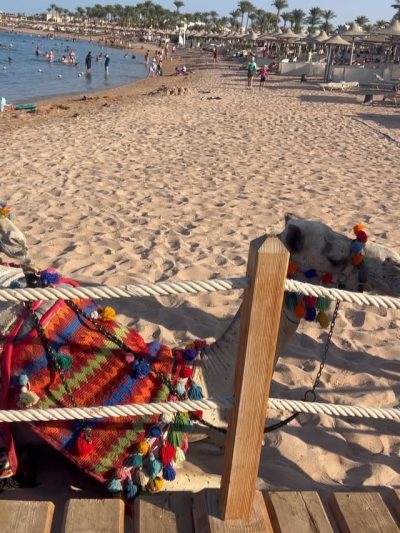 Iberotel Makadi Beach в августе — фото погоды (2025-08-29)