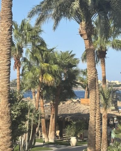 Iberotel Makadi Beach в октябре — фото погоды (2025-10-29)