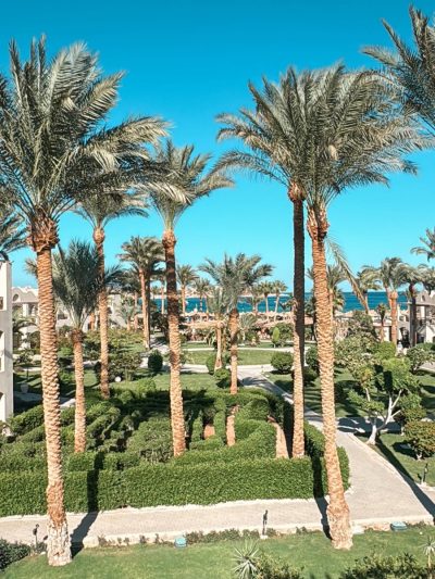 Iberotel Makadi Beach в ноябре — фото погоды (2025-11-28)