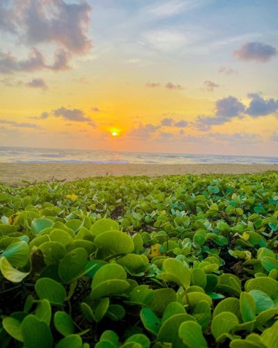 Panadura Beach в апреле — фото погоды (2026-04-11)