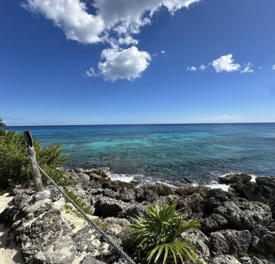 Coconuts Bar & Grill... Cozumel, Mexico в январе — фото погоды (2026-01-30)