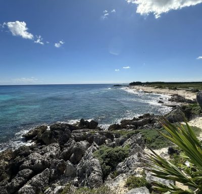 Coconuts Bar & Grill... Cozumel, Mexico в январе — фото погоды (2026-01-30)