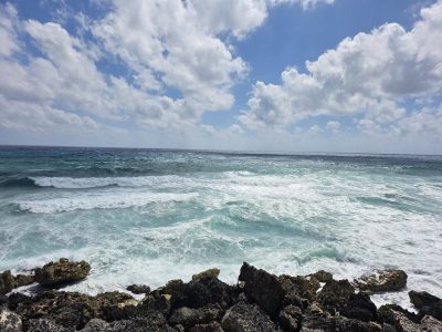 Coconuts Bar & Grill... Cozumel, Mexico в феврале — фото погоды (2026-02-21)