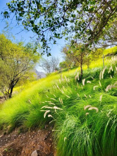Hatta Hill Park в ноябре — фото погоды (2025-11-12)