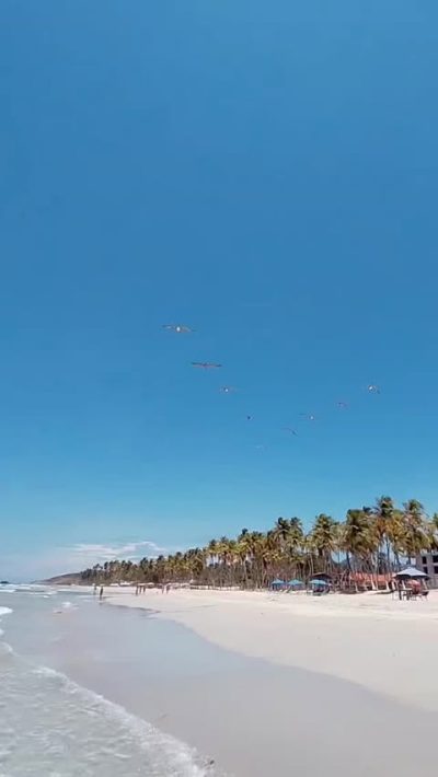 Playa El Agua Margarita в мае — фото погоды (2026-05-30)