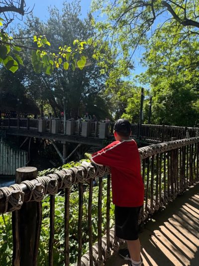 Port Aventura Park в мае — фото погоды (2026-05-23)