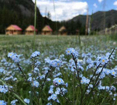 Красный Лис в июне — фото погоды (2018-06-20)