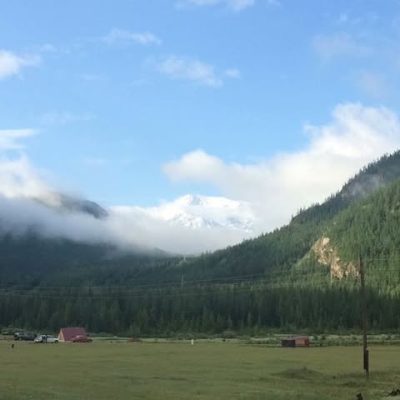 Красный Лис в июле — фото погоды (2018-07-26)