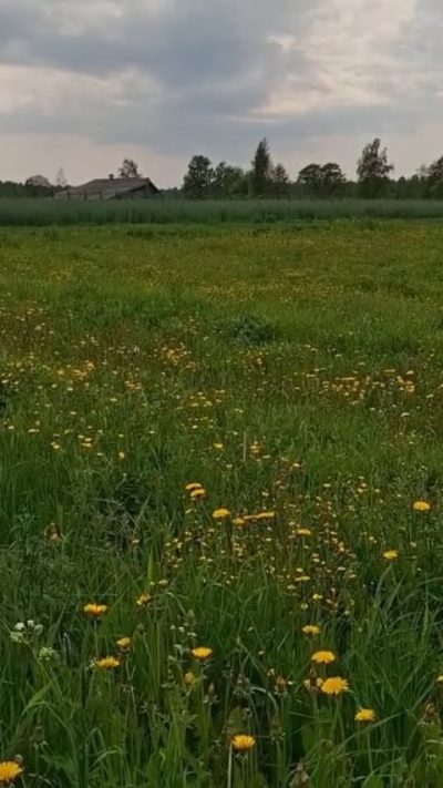 о. Кижи   Kizhi island в июне — фото погоды (2025-06-06)