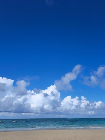Bavaro Princess All Suites Resort, Spa & Casino Punta Cana в феврале — фото погоды (2026-02-19)