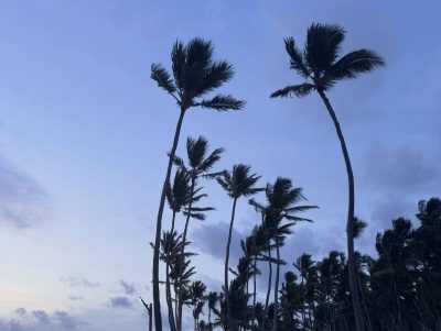 Bavaro Princess All Suites Resort, Spa & Casino Punta Cana в июле — фото погоды (2026-07-13)