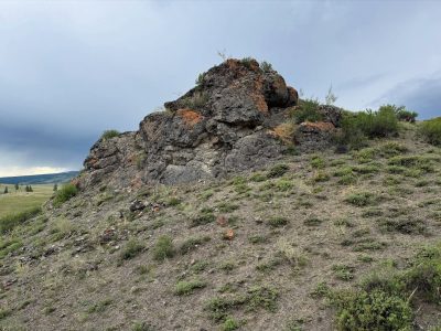 Курайская степь в июне — фото погоды (2026-06-29)