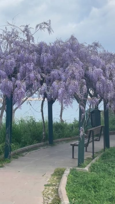 Şevket Sabancı Parkı в марте — фото погоды (2026-03-27)
