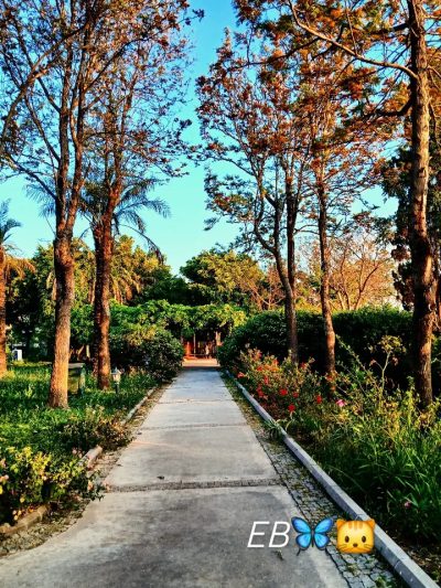 Şevket Sabancı Parkı в мае — фото погоды (2026-05-15)