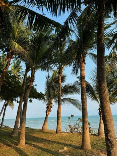 Sanya, Hainan Island, China в апреле — фото погоды (2026-04-10)