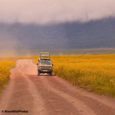 Танзания в мае — фото погоды (2026-05-20)