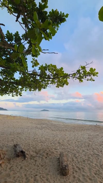 Praia da Armação, Penha - Santa Catarina в феврале — фото погоды (2026-02-26)