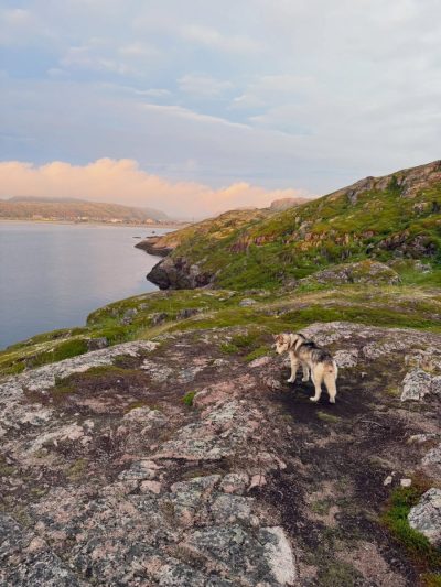 Teriberka, Arctic Ocean в июле — фото погоды (2026-07-15)