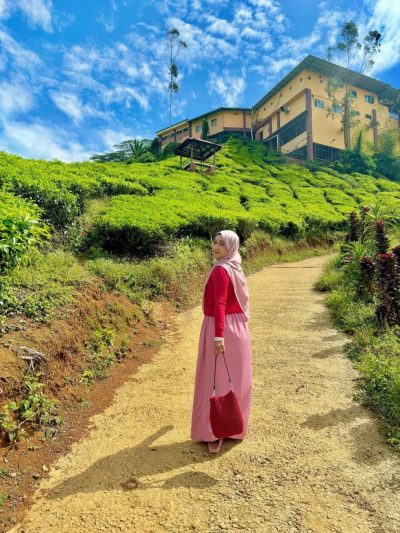 Cameron Valley, Cameron Bharat Plantations & Tea House в сентябре — фото погоды (2025-09-19)