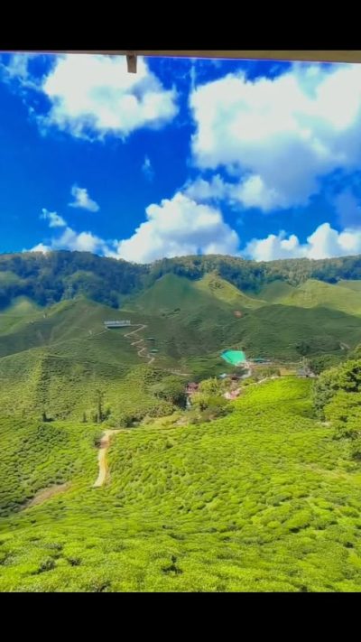 Cameron Valley, Cameron Bharat Plantations & Tea House в декабре — фото погоды (2025-12-05)